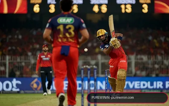 Gujarat vs Rajasthan on Purewinin